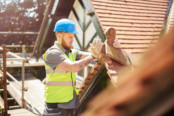 Best Storm Damage Roof Repair  in Paul, ID
