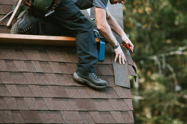 Best Roof Gutter Cleaning  in Paul, ID